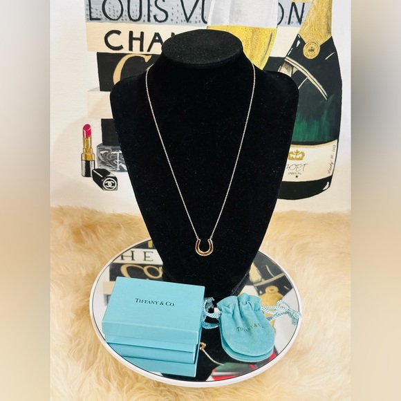 🔥 RARE TIFFANY & Co. HORSESHOE PENDANT NECKLACE DISCONTINUED ITEM FULL INCLUSION - Picture 1 of 9